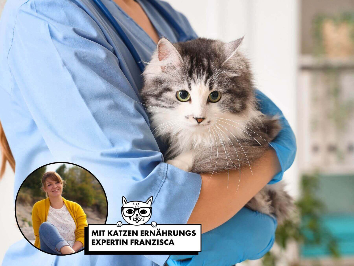 Die Harnsteine bei Katzen