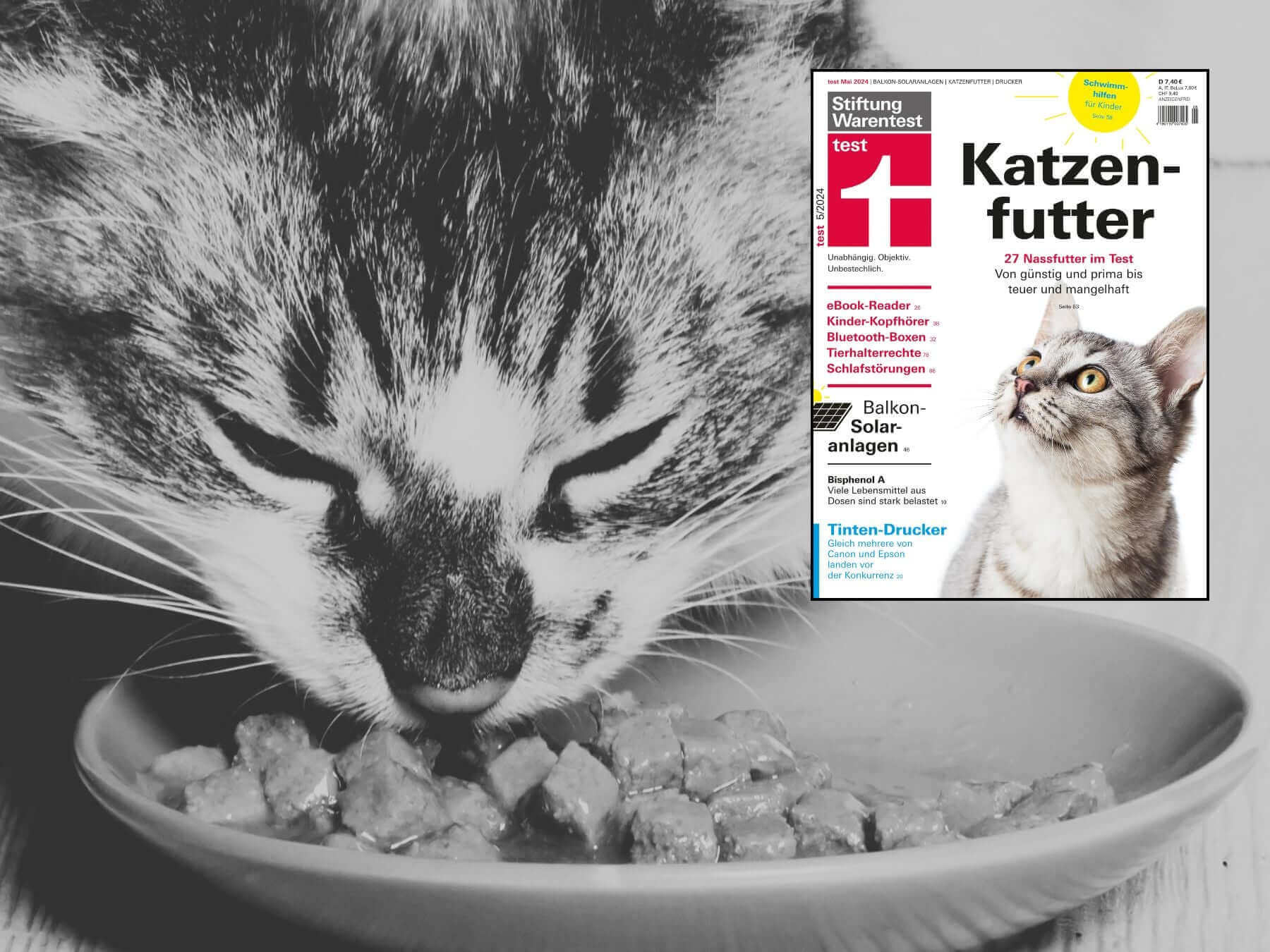 Stiftung Warentest Katzenfutter 2024