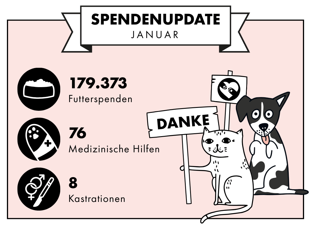 Spendenupdate Januar 2026