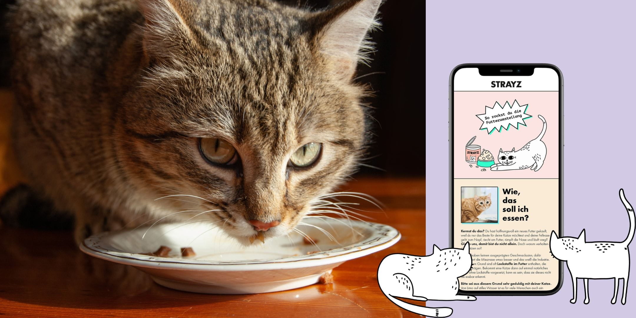 E-Book Futterumstellung für Katzen