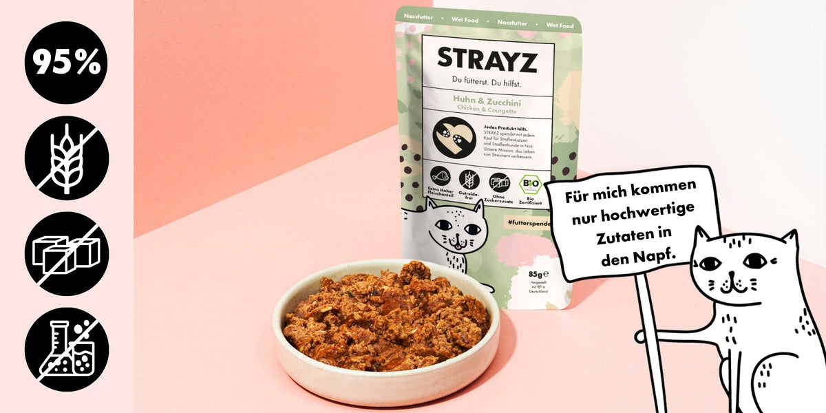 Hochwertiges Katzenfutter mit hohem Fleischanteil im Napf