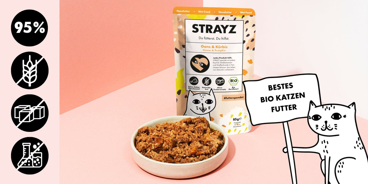Bestes Katzenfutter in Bio Qualität von STRAYZ: Gans & Kürbis mit 95% Fleischanteil
