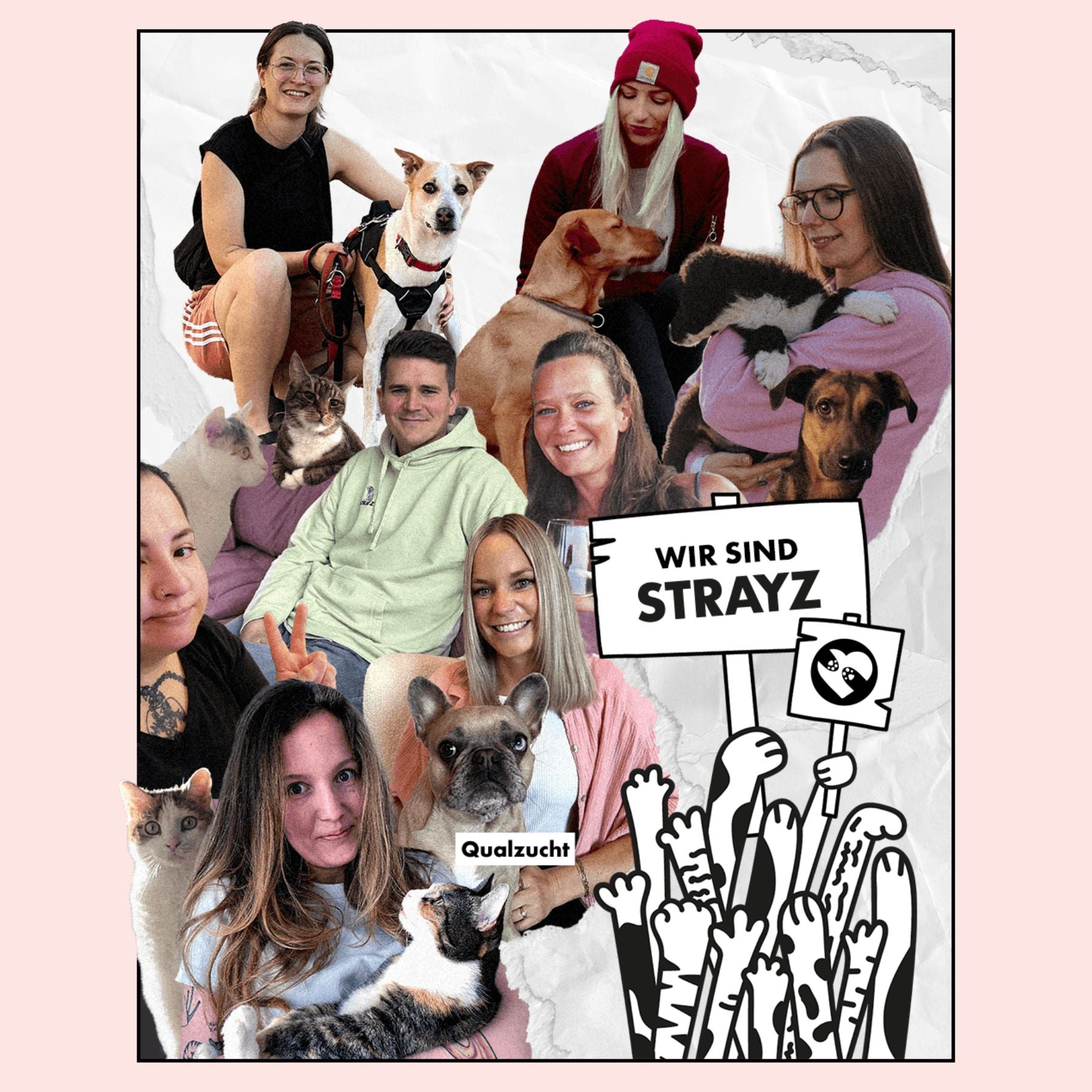STRAYZ Team Bild