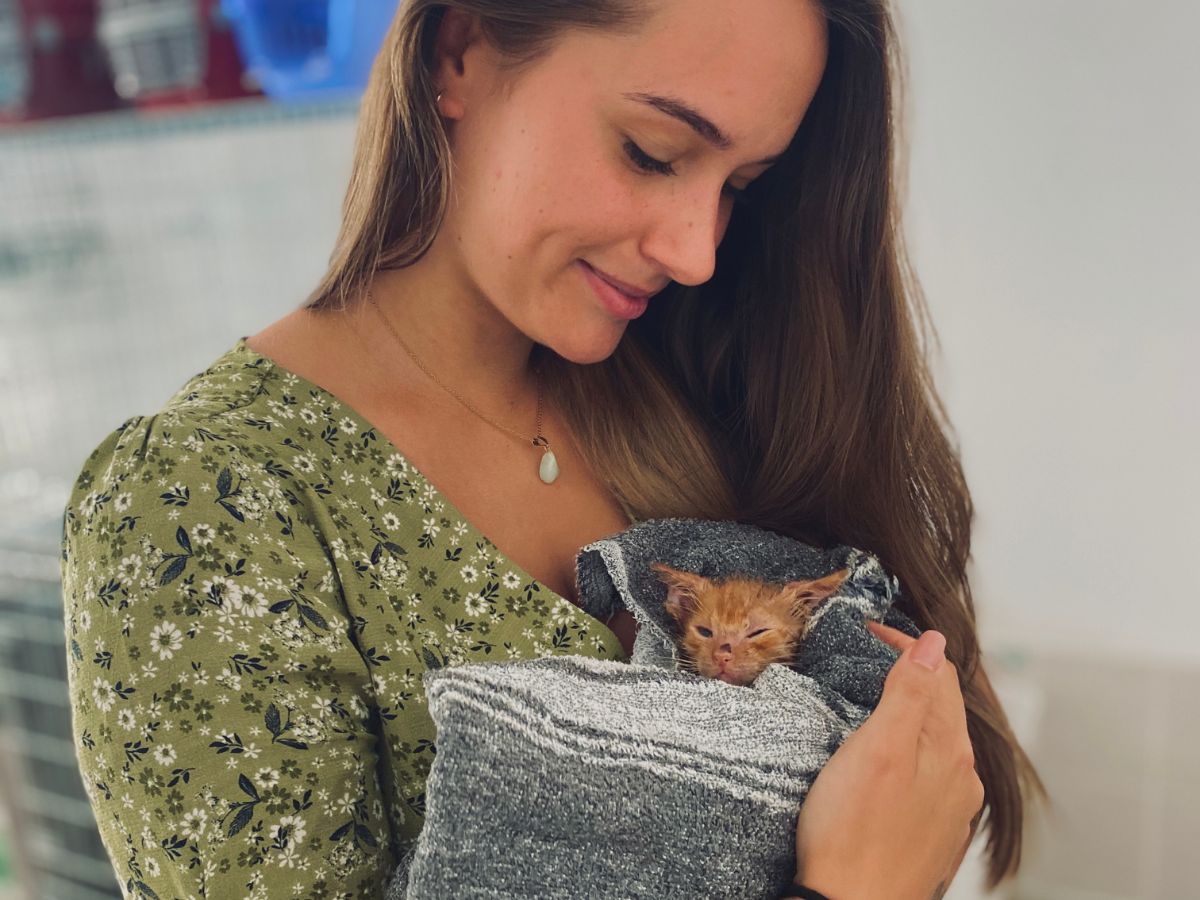 Kitten im Arm einer Frau