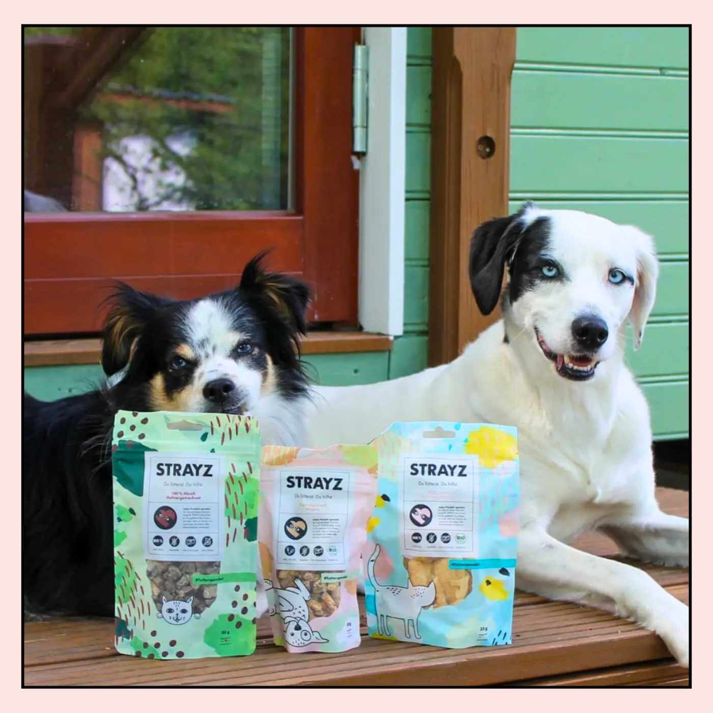Zwei ehemalige Straßenhunde mit den Bio Snacks für Hunde von STRAYZ