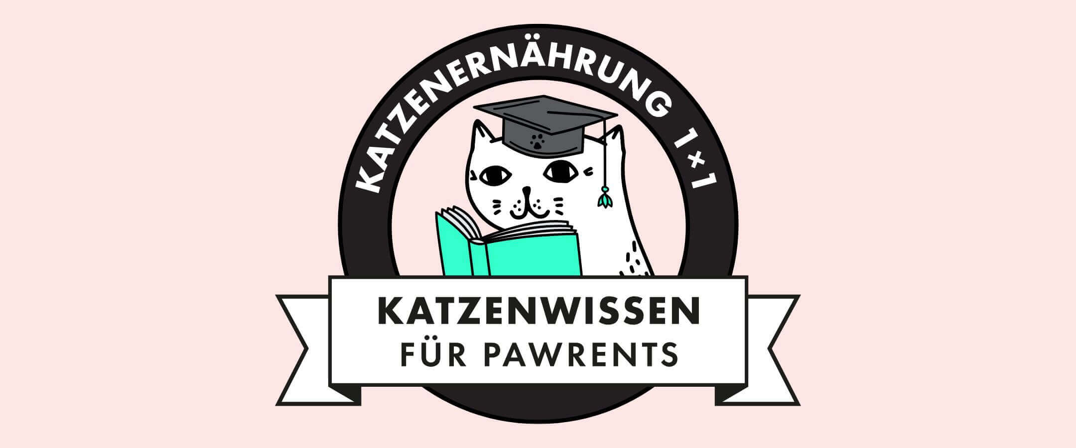 Dieses Logo für unseren kostenlosen Kurs Katzenernährung 1x1 zeigt eine Katze mit akademischem Hut, die ein Buch liest. Der Kurs vermittelt Katzenwissen für Tierbesitzer*innen.