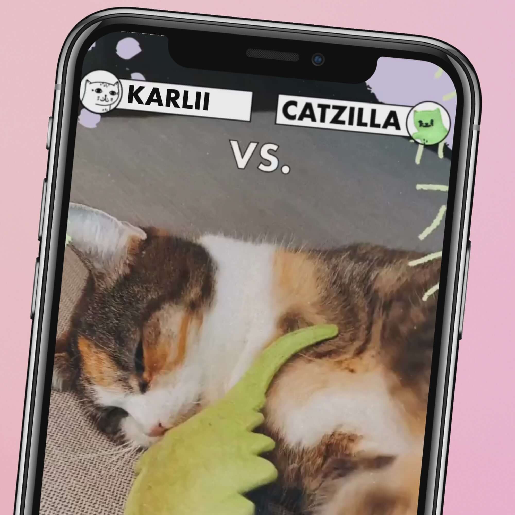 Video vom Kampf mit dem STRAYZ Katzenspielzeug Catzilla