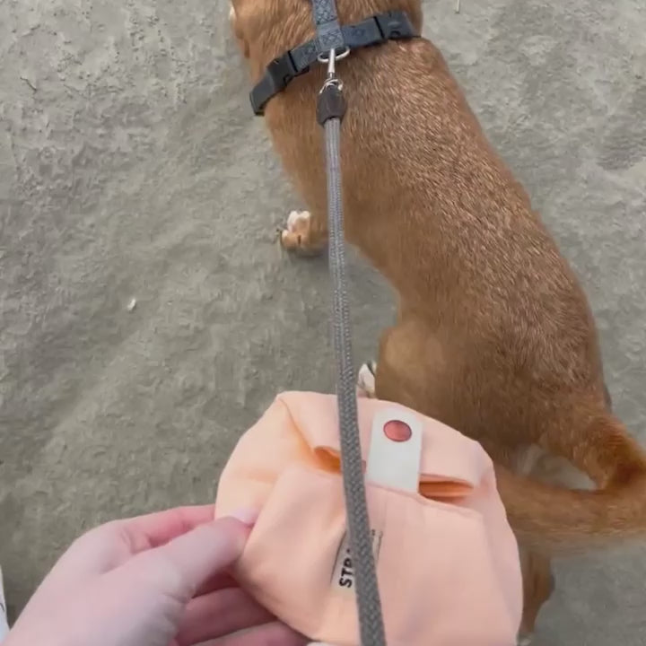 Faltbarer Hundenapf von STRAYZ aus robustem Canvas Stoff für Wasser und Futter mit Karabiner zum Befestigen. Super leicht. Lachsfarben. Jeder Faltnapf spendet für Straßenhunde.