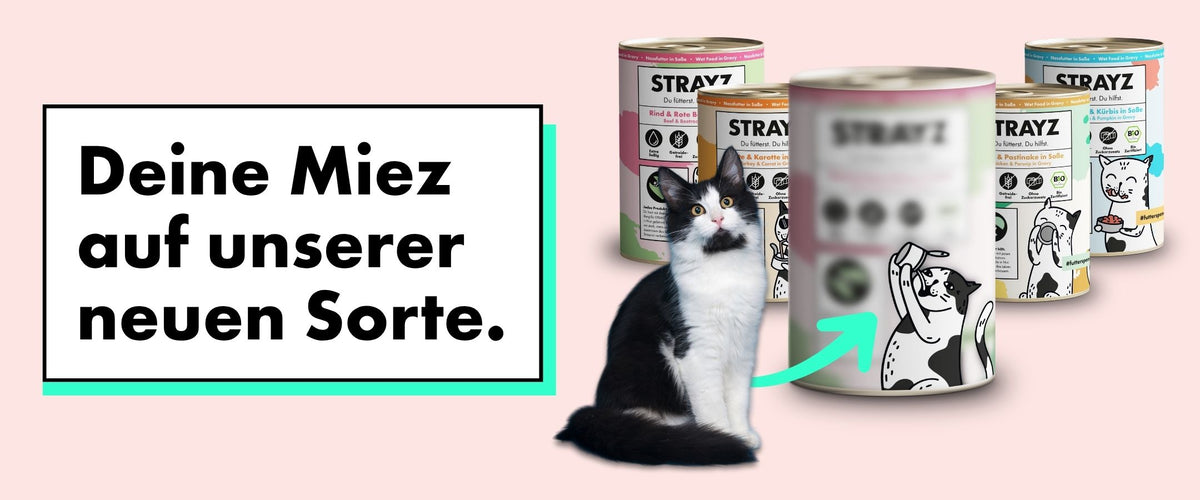 Schwarz-weiße Katze sitzt vor mehreren STRAYZ Nassfutter-Dosen. Ein Pfeil führt von ihr zu einer neuen, noch verschwommenen Dose mit illustrierter Katze. Daneben steht: Deine Miez auf unserer neuen Sorte.