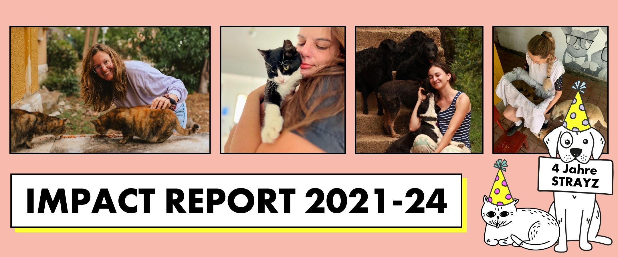 Fotos unserer Tierschutzarbeit aus 4 Jahren STRAYZ