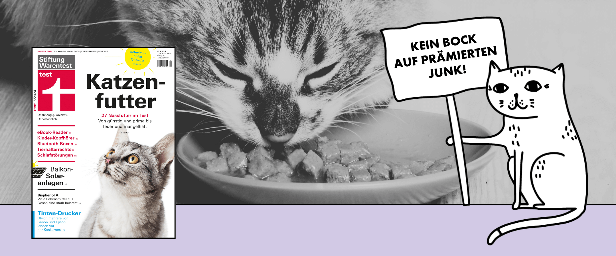 Stiftung Warentest Katzenfuttertest 2024 - STRAYZ