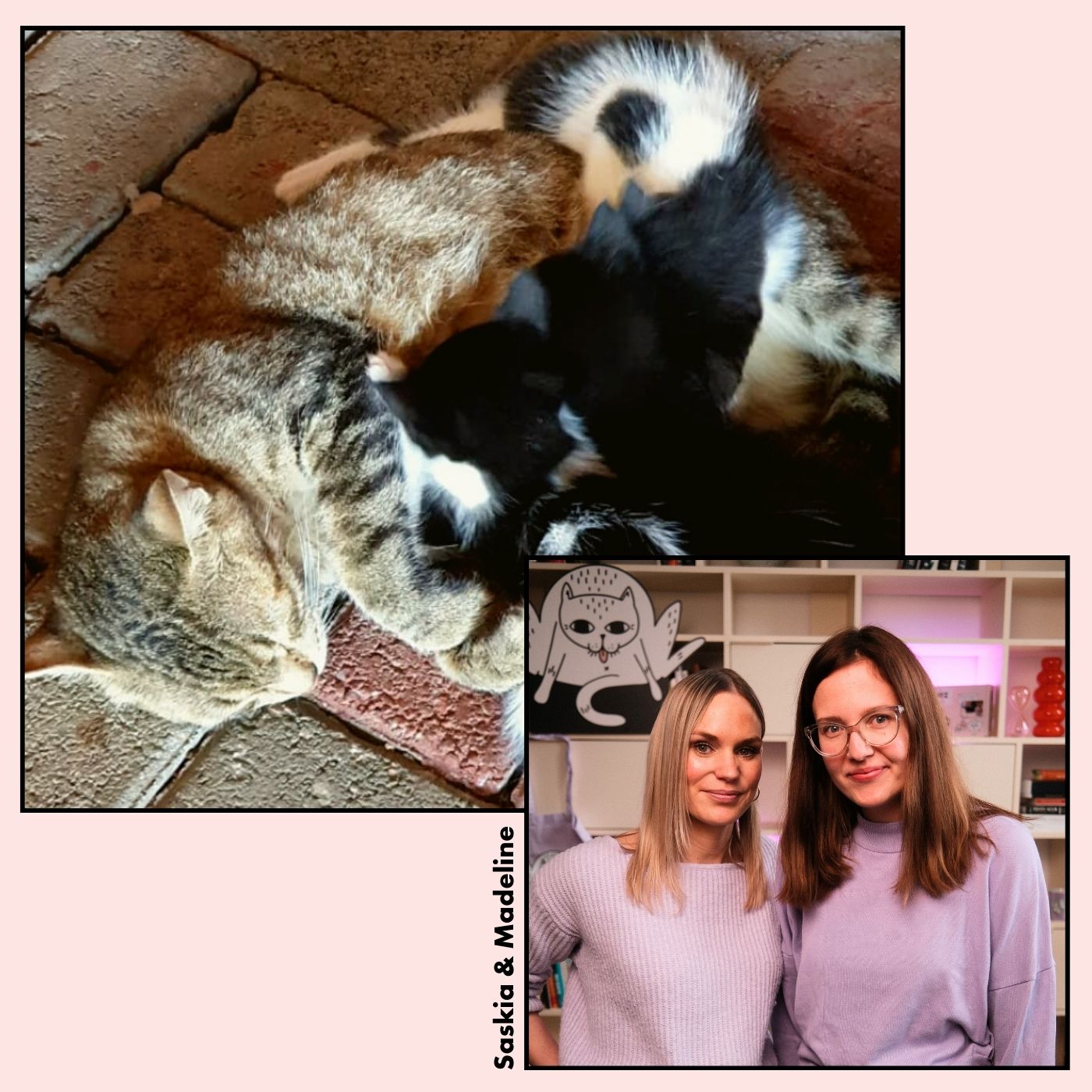 Getigerte Straßenkatze Mushki mit ihren schwarz weißen Kitten und die Gründerinnen von STRAYZ Saskia und Madeline