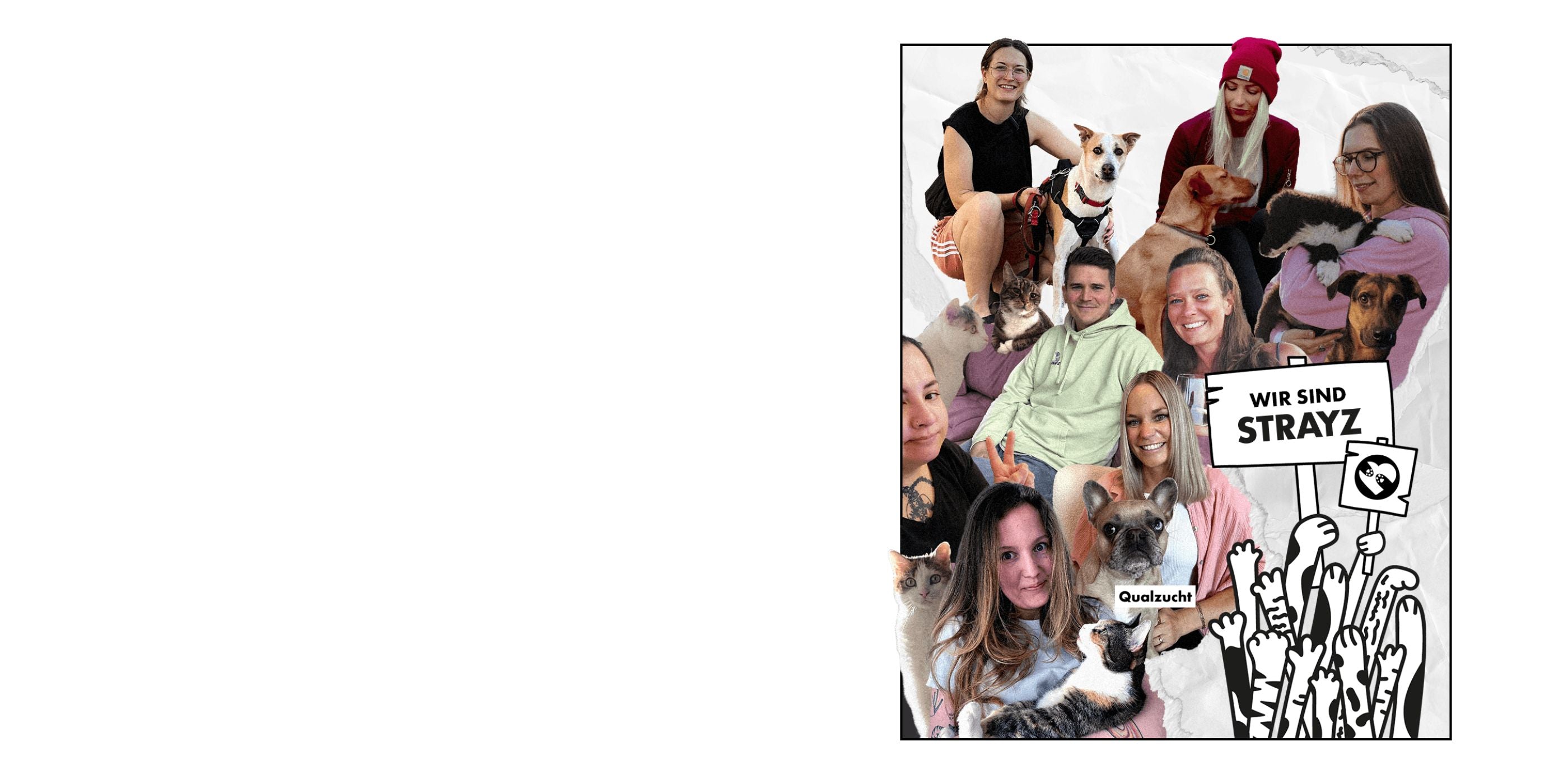 STRAYZ Team Bild