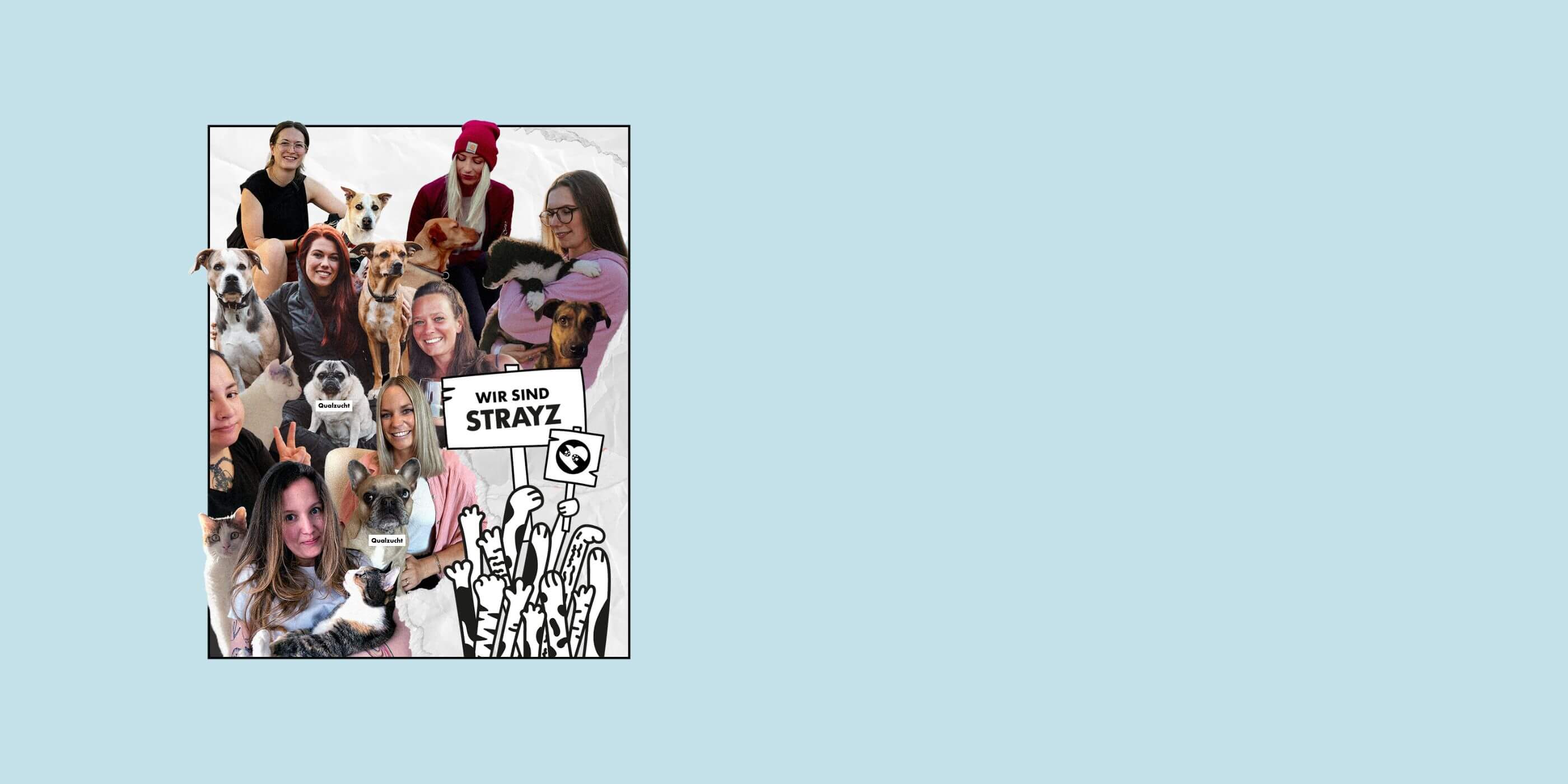 Das STRAYZ Team