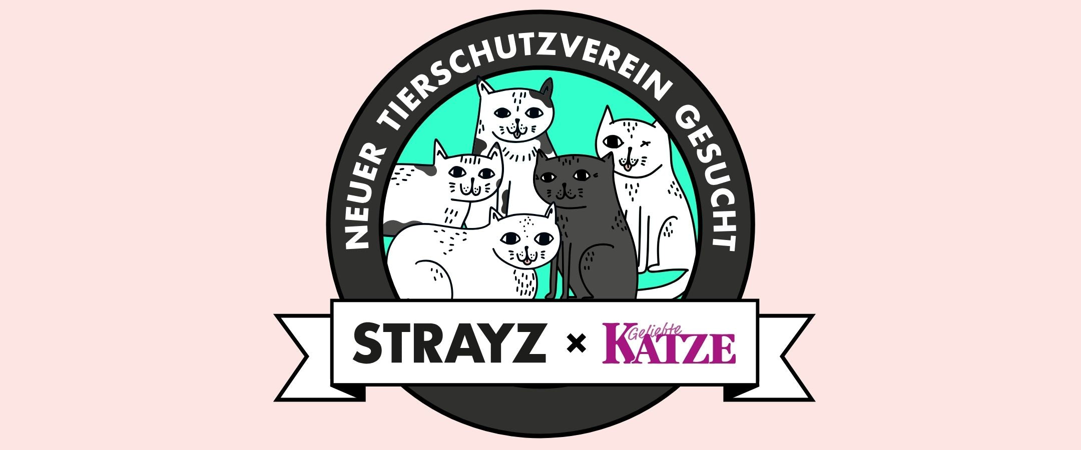 Weltkatzentag 2026 STRAYZ x Geliebte Katze