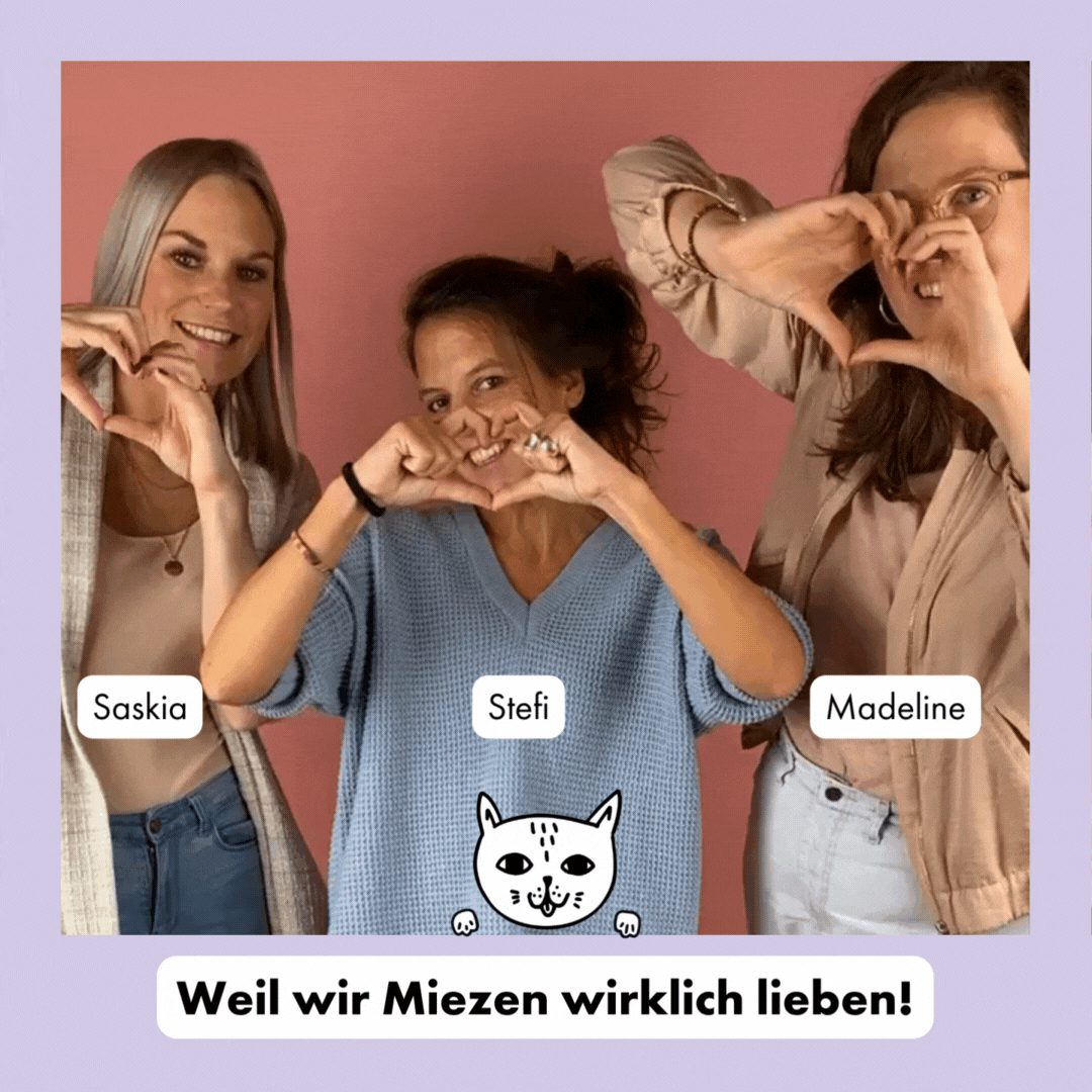 STRAYZ Gründerinnen: Weil wir Katzen wirklich lieben