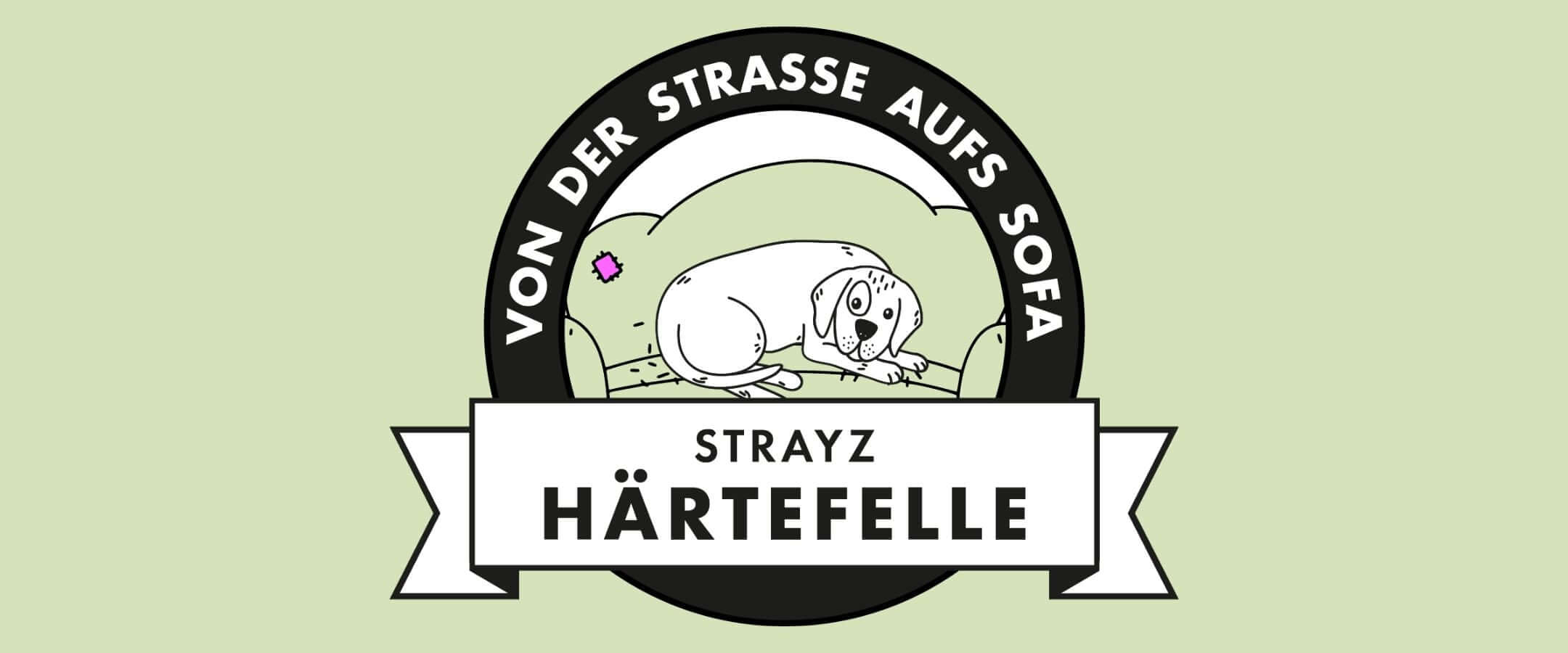 STRAYZ Aktion zum Welthundetag 2024. Von der Strasse aufs Sofa. Aktion Härtefelle.
