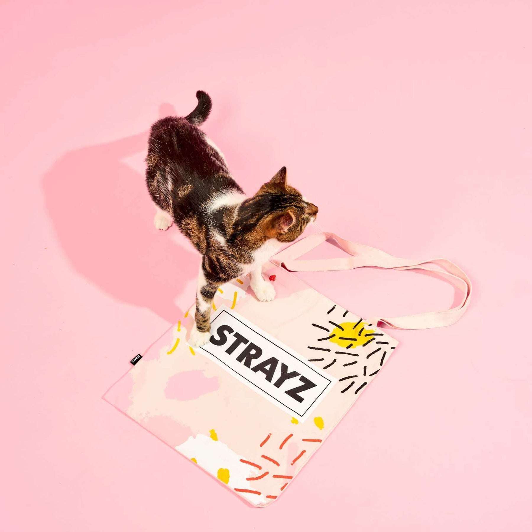 STRAYZ rosa Stofftasche mit Poleckmiez von oben. Katze steht auf der Tasche. Rückseite.