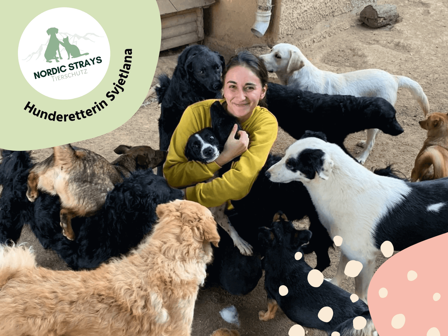 Bild von Tierschützerin Svjetlana.