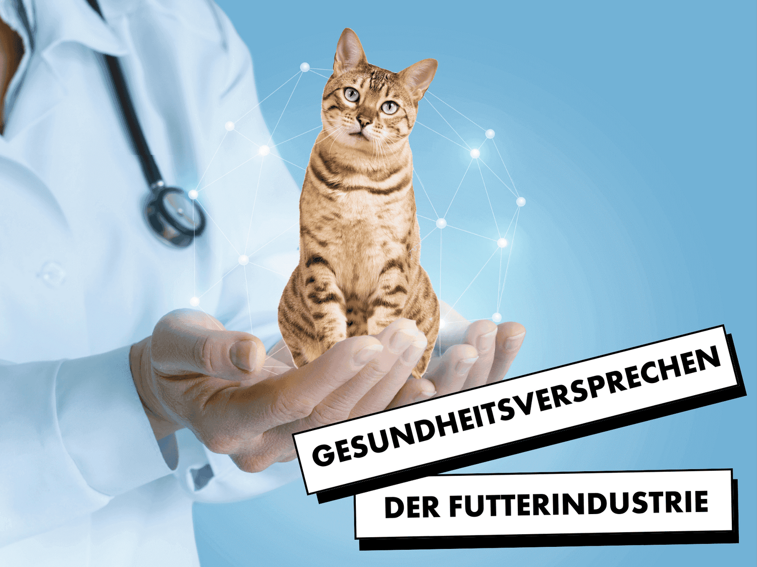 Gesundheitsversprechen bei Katzenfutter und Hundefutter. Rote Katze sitzt auf der Hand eines Tierärtzes