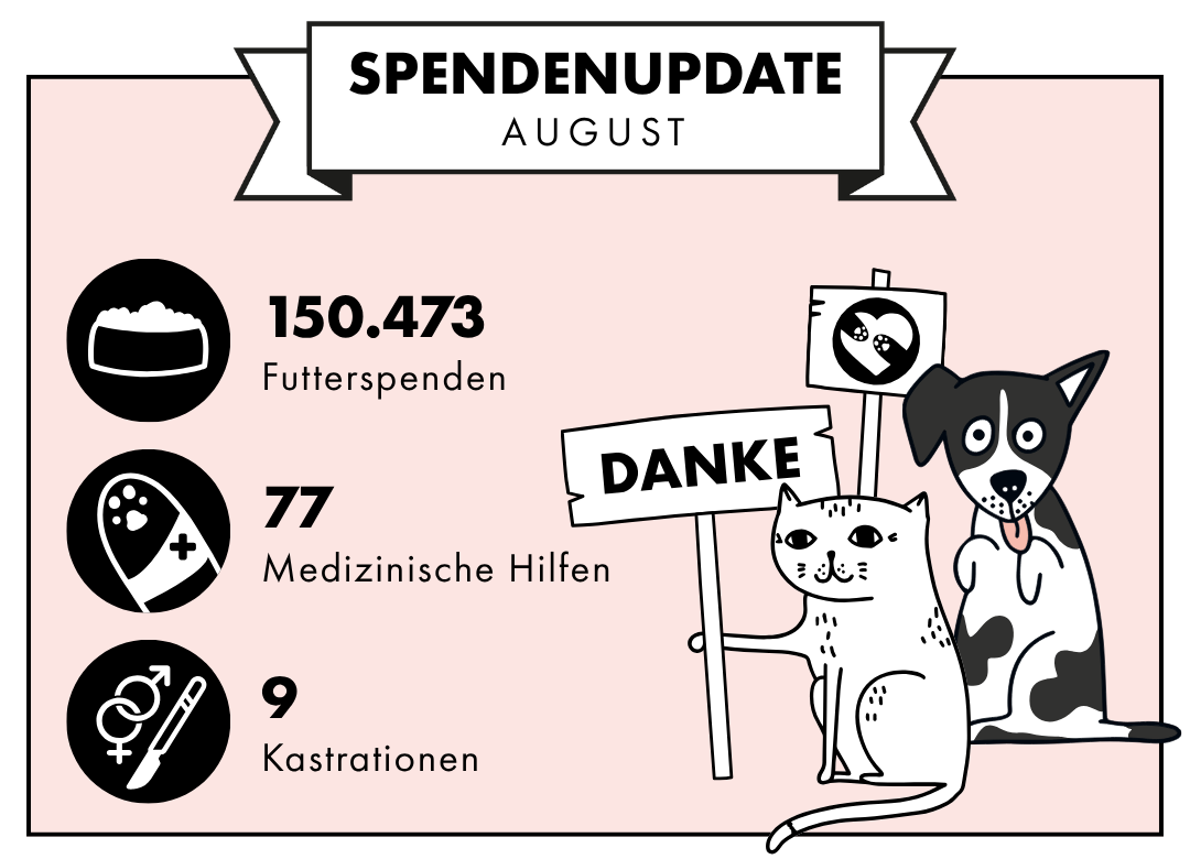 Spendenupdate August