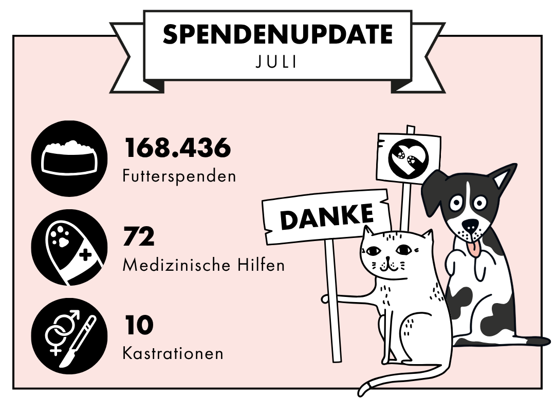 STRAYZ Spendenupdate Übersicht Juli 2026