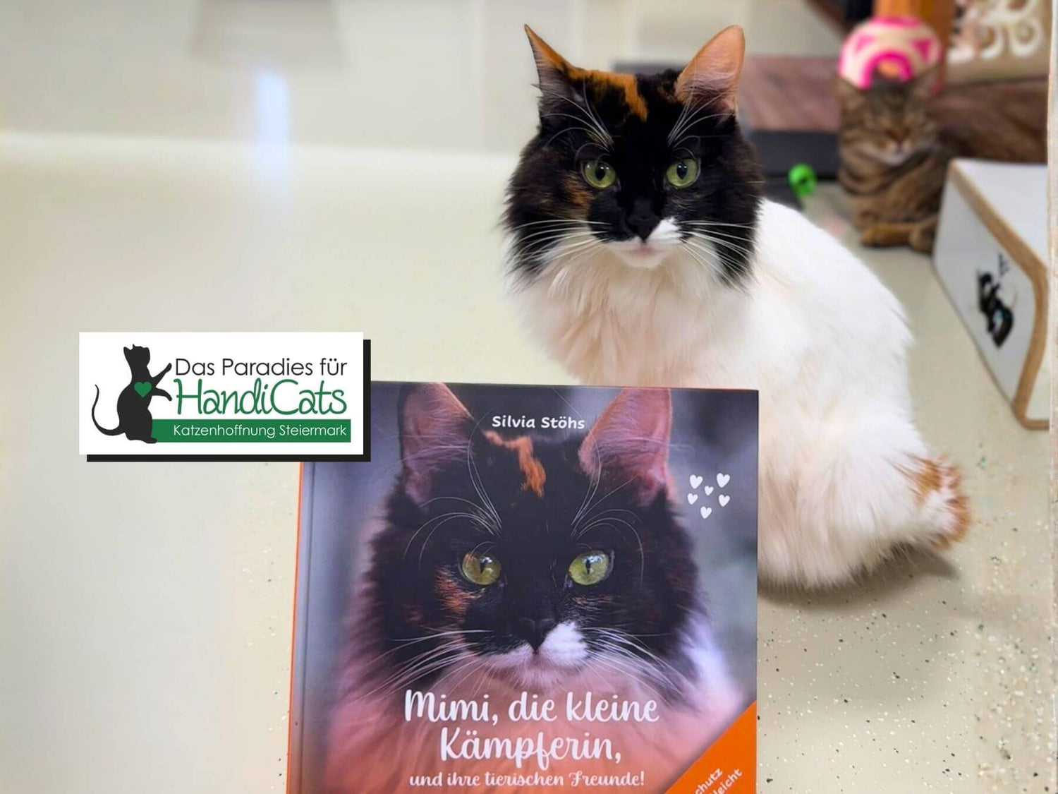 Querschnittsgelähmte Katze im Gnadenhof Katzenhoffnung Steiermark in Österreich hinter dem Buch, das über ihre Geschichte geschrieben wurde.