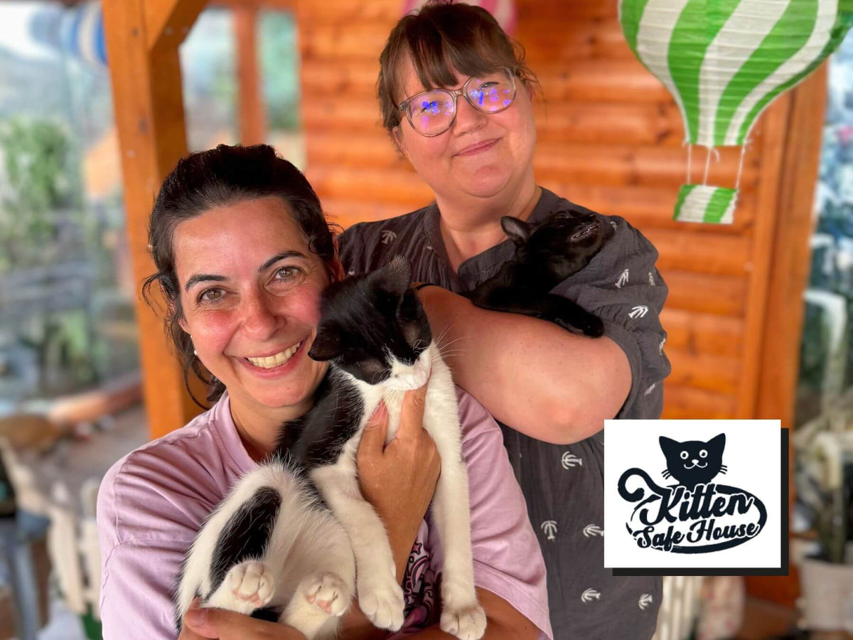Kitten Safe House Team Besuch vor Ort in Kroatien Katzenrettung