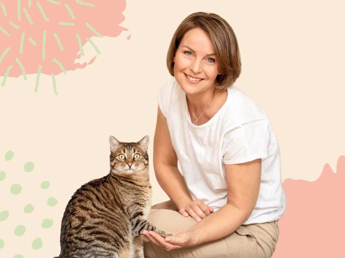 Katzenverhalten verstehen