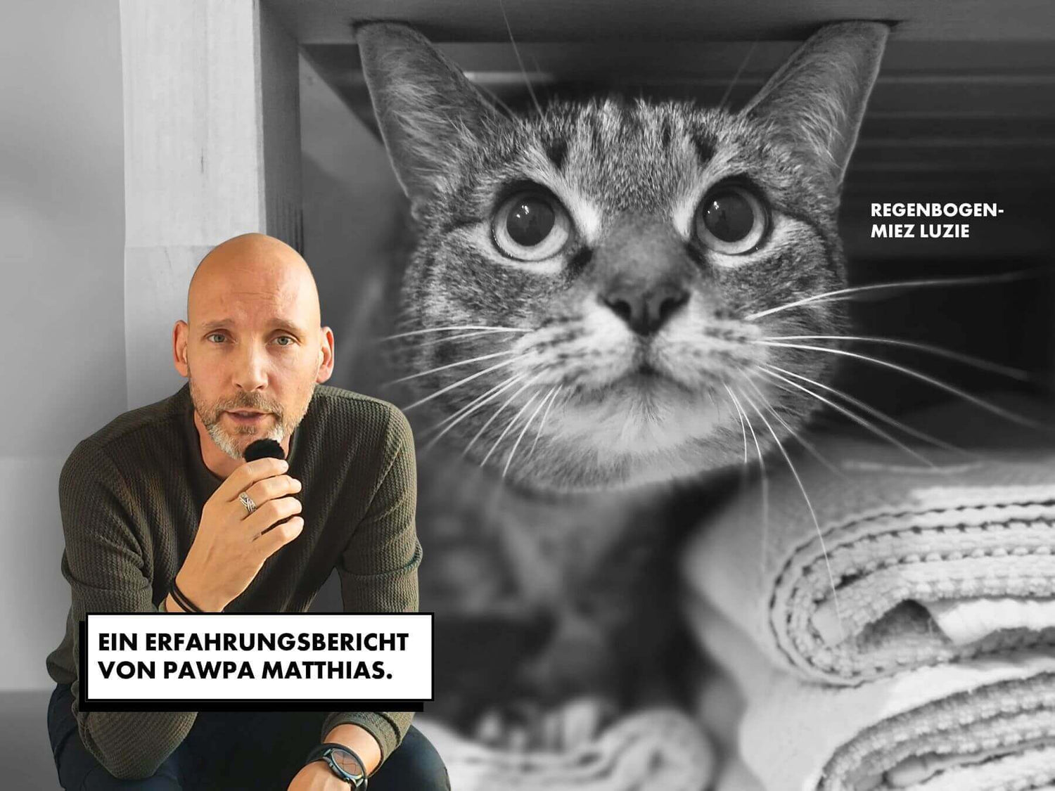 Matthias spricht über seine Katze Luzie