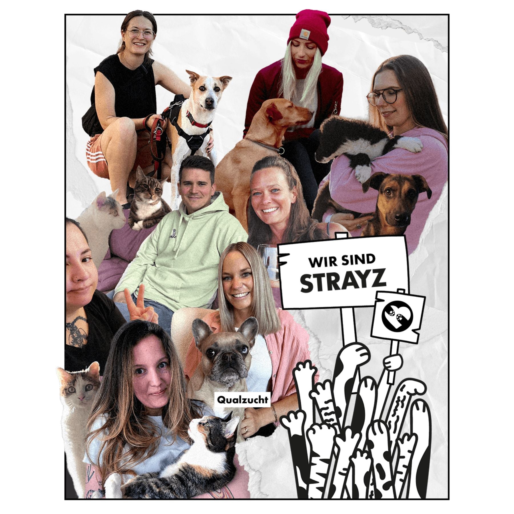 STRAYZ Team Bild