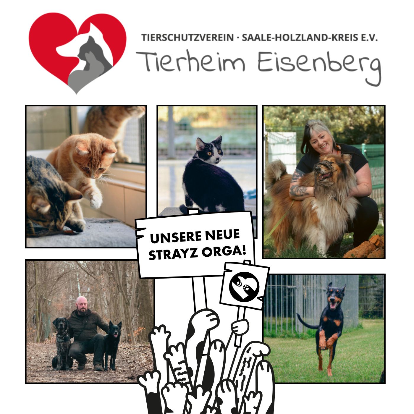 Das Tierheim Eisenberg ist unser 13. Tierschutzverein. Auf diesem Bild ist das Team des Tierheims zu sehen sowie einige Katzen und Hunde. 
