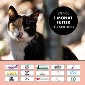 Das Paket spendet einen Monat Futter für Straßenkatzen in Not. Das Bild zeigt eine Straßenkatze und die 15 Logos der Tierschutzvereine von STRAYZ.