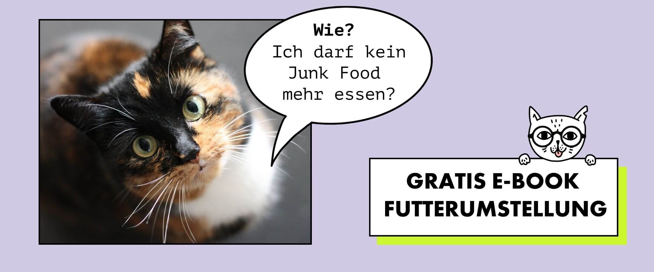 Futterumstellung bei Katzen - so einfach geht es. 