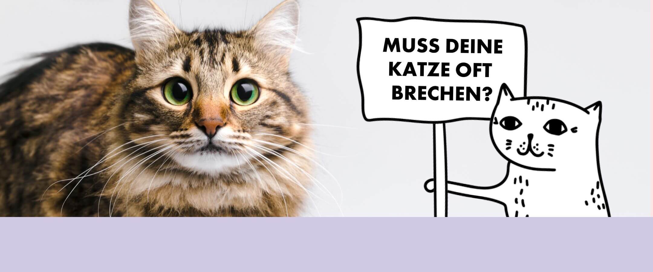 Katze erbricht durch Futterallergie - Das Bio Katzenfutter von STRAYZ ist transparent und hat keine versteckten Zutaten