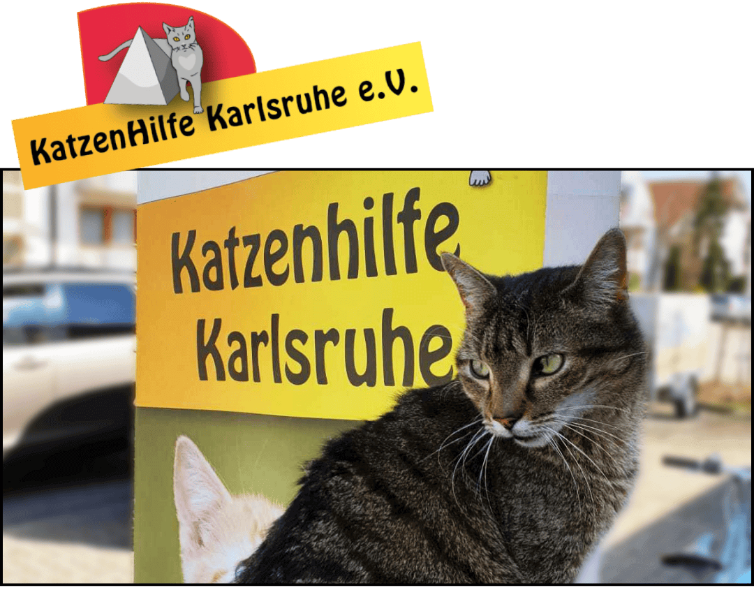 Katzenhilfe Karlsruhe Logo plus Bild von Straßenkatze