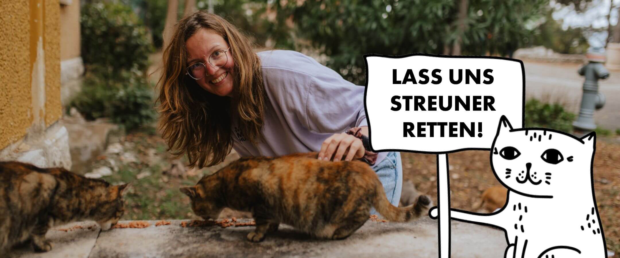 Futterspenden Katzen