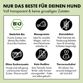 Bio Hundefutter von STRAYZ Zuckerfrei, Getreidefrei und ohne Bindemittel