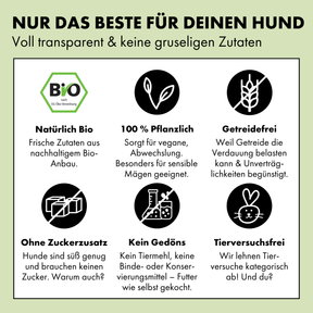Bio Hundefutter von STRAYZ Zuckerfrei, Getreidefrei und ohne Bindemittel