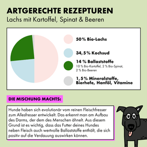 Das Bio Hundefutter von STRAYZ in der Sorte Lachs setzt sich aus den folgenden Zutaten zusammen: Lachs mit Kartoffel, Spinat & Beeren: 50 % Lachs*, 34,5 % Kochsud*, 10 % Kartoffel*, 2 % Spinat*, 2 % Beeren* (Rote Johannisbeere, Schwarze Johannisbeere, Heidelbeere, Brombeere, Himbeere), 0,55 % Mineralstoffe, 0,5 % Hanföl*, 0,45 % Bierhefe *aus kontrolliert ökologischer Erzeugung