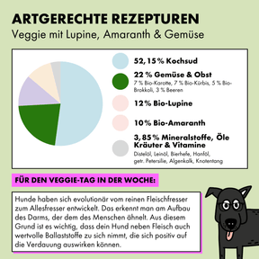 Das vegane Bio Hundefutter von STRAYZ setzt sich so zusammen: 52,15 % Kochsud*, 12 % Lupine getrocknet*, 10 % Amaranth*, 7 % Karotte*, 7 % Kürbis*, 5% Brokkoli*, 3% Beeren-Mix*, 1 % Distelöl*, 1 % Leinöl*, 1 % Mineralstoffe & Vitamine, 0,5 % Petersilie getrocknet*, 0,3 % Algenkalk*, 0,05 % Knotentang*  *aus kontrolliert ökologischer Landwirtschaft