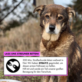 Jedes Produkt von STRAYZ spendet für Straßenhunde in Not.