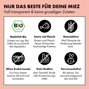 Das Bio Katzenfutter und die Bio Katzensnacks von STRAYZ haben einen hohen Fleischanteil. Zudem sind sie getreidefrei und ohne Zuckerzusatz. Auf Tierversuche verzichtet das kleine Unternehmen aus Überzeugung.