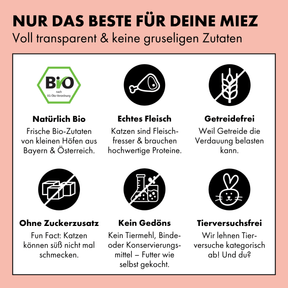 Das Bio Nassfutter für Katzen in Soße von STRAYZ ist getreidefrei, ohne Zuckerzusatz oder Bindemittel. Zudem werden keine Tierversuche durchgeführt.