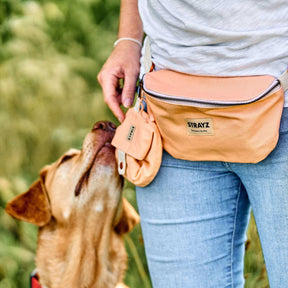 Steinbild Hunde Oder Katze Sind Engel Mit Fell