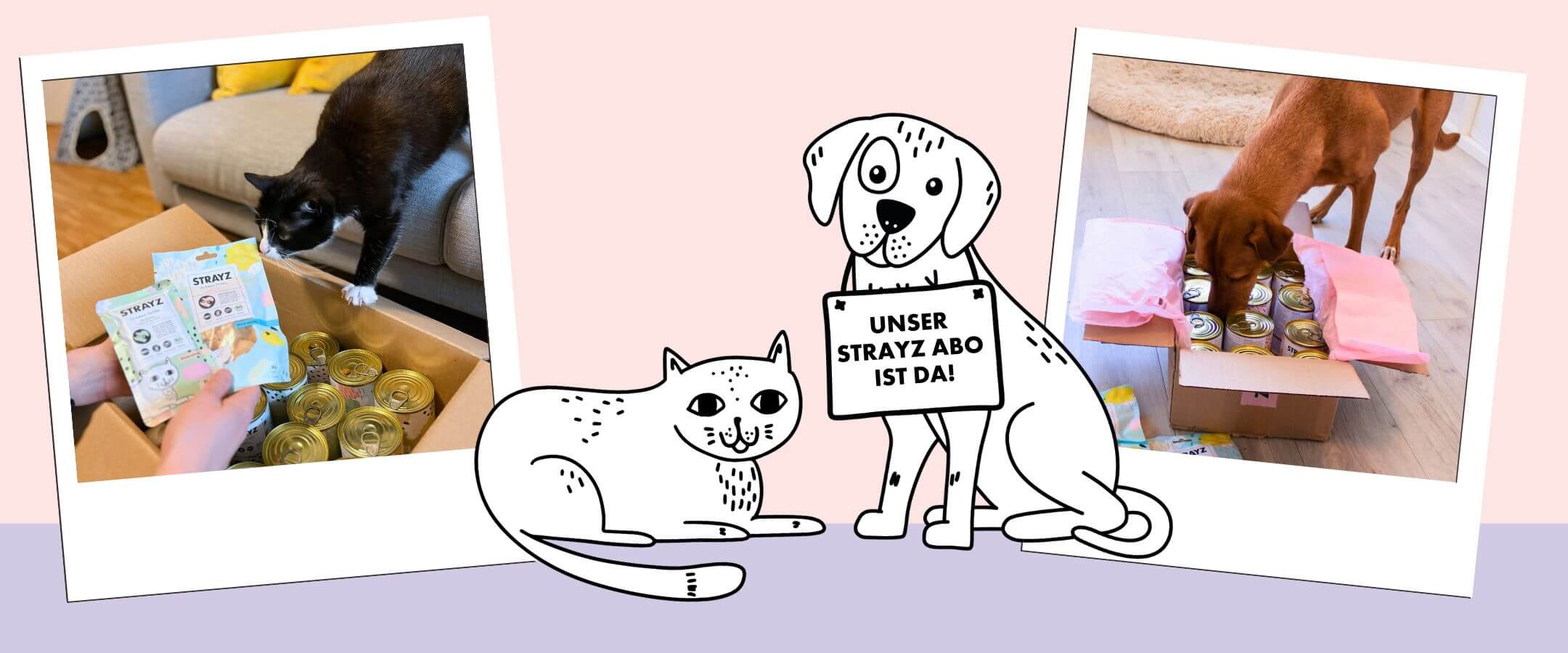 Katzenfutter Abo und Hundefutter Abo von STRAYZ 