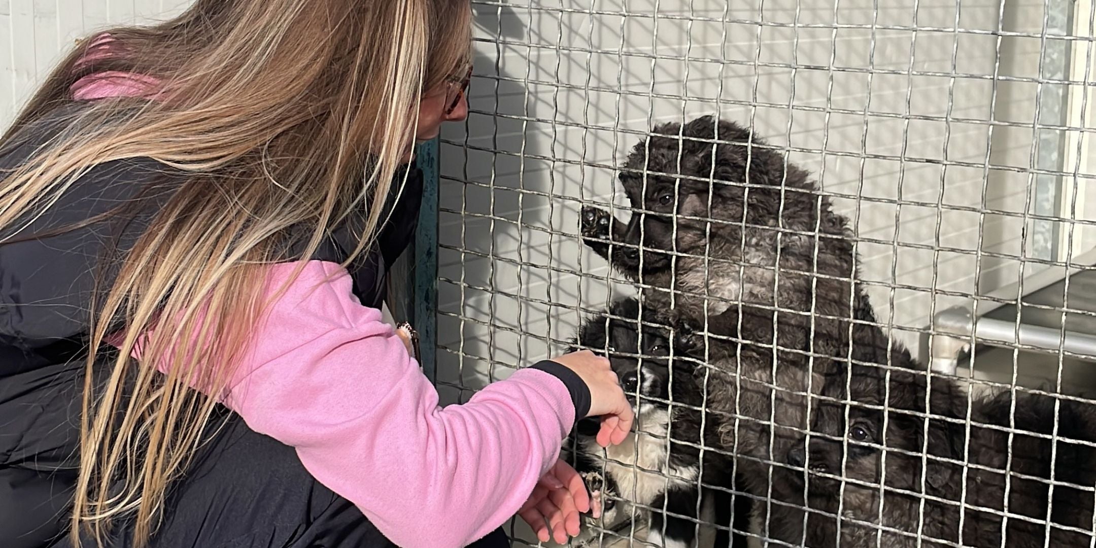 STRAYZ Mitarbeiterin Johanna ist selbst im Tierschutz aktiv und hilft vor Ort im Tierheim in Split Kroatien.