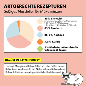 Das Bio-Nassfutter in Soße von STRAYZ in der Sorte Lachs, Huhn & Kürbis in Soße besteht aus 35% Huhn, 35% Lachs, 36,5% Kochsud, 1,5% Kürbis und 2% Mineralstoffen, Bierhefe, Vitaminen und Taurin. 