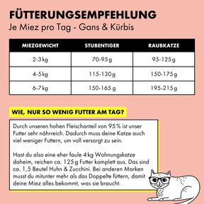 Fütterungsempfehlung für STRAYZ Bio Katzenfutter pro Tag. Durch den hohen Fleischanteil braucht eine 4kg Wohnungskatze nut ca. 125 g Futter am Tag. 