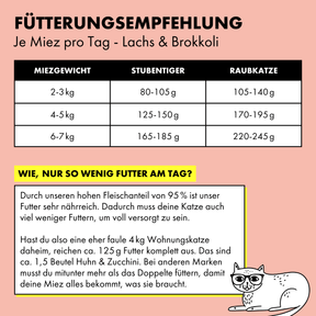 Fütterungsempfehlung für STRAYZ Bio Katzenfutter pro Tag. Durch den hohen Fleischanteil braucht eine 4kg Wohnungskatze nut ca. 125 g Futter am Tag. 